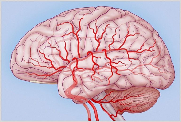 Препарат улучшает кровоснабжение мозга