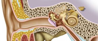 Бактериальный отит: причины, симптомы и методы лечения