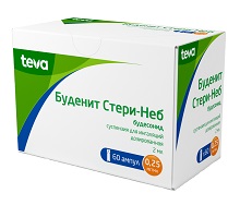 Буденит Стери-Неб